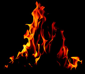 Flame of fire on a black background