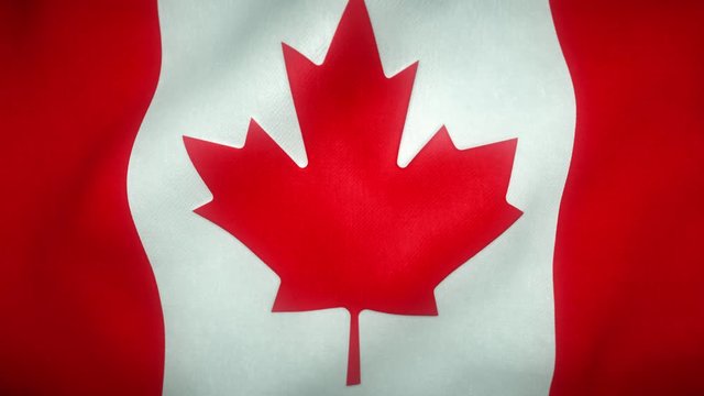 flag of canada waving in the wind