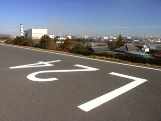 海から２４キロメートルの江戸川サイクリング道路風景