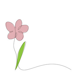 Chamomile flower background, floral design vector illustration