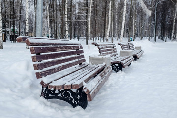 Trees in beautiful city park. Winter season. Benches and trash cans. White snow.