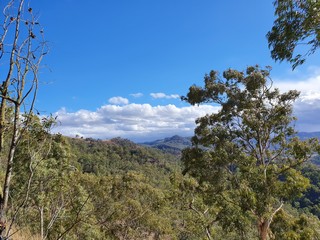 View of Australian Bush