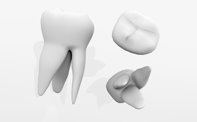 Tooth lateral. Front view, top view, bottom view. Dental implantation, dental treatment. 3D rendering.