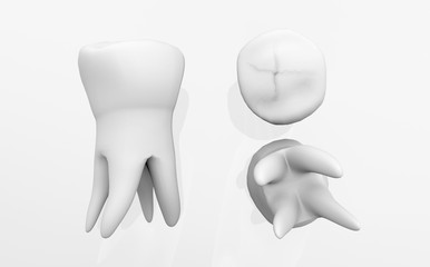 Tooth lateral. Front view, top view, bottom view. Dental implantation, dental treatment. 3D rendering.