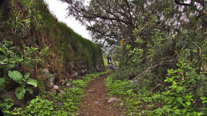 Fototapeta premium Rural road surrounded by trees and stone walls, on a cloudy day, shows the moist soil with abundant vegetation and two people at the end of the road in a thoughtful attitude.