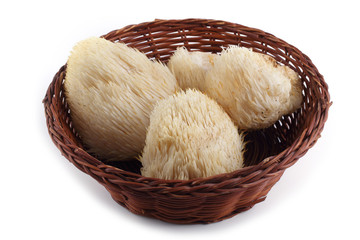 Hericium erinaceus mushroom (monkey head mushroom, bearded tooth fungus, bearded hedgehog mushroom, pom pom, lion's mane mushroom) © Alex Coan