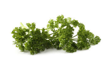 Parsley isolated on white