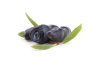 Honeysuckle berries