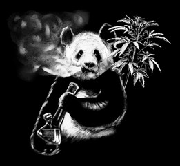 Hand drawn smoking panda on chalkboard for coffee shop. Realistic chalk drawing of chinese mammal. Real white isolated on black, not inverted from black ink illustration © Boutique canvas
