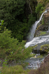 Fototapeta na wymiar Whangarei Otuihau Falls New Zealand
