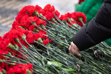 red carnations are laid on the marble memorial in honor of those killed in the war. Victory Day....