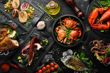 Set of seafood dishes. Fish, squid, octopus on a black stone background. Top view. Free space for your text. - obrazy, fototapety, plakaty