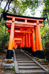 Fototapeta na wymiar Fushimi Inari Shrine Kyoto Japan