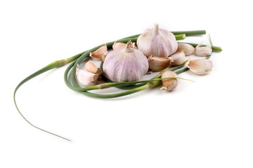 Garlic and garlic arrows