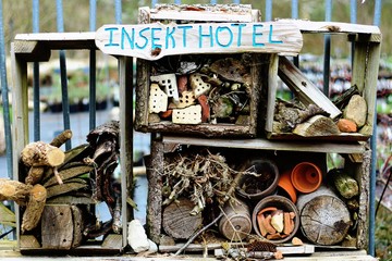 Permacultural insect hotel © Anzhelika