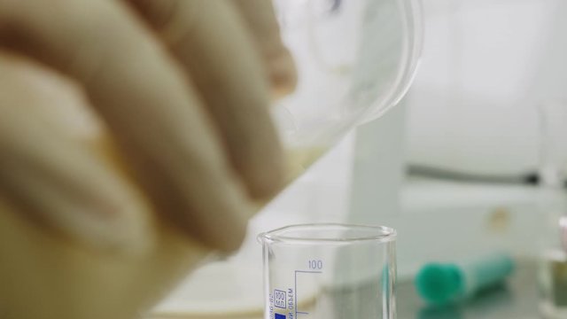 assistant pours milk into beaker to check quality on table