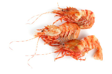 Shrimps isolated on white (northern Bering shrimp)