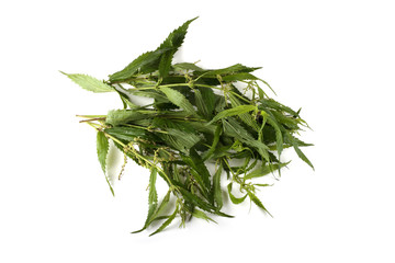 Nettle isolated on white