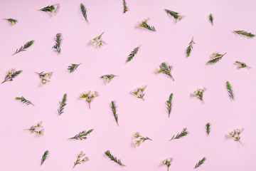 White flower dot pattern on pastel pink background