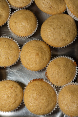 Aerial view of cooked cinnamon muffins, in cooking class, on metal tray, in vertical