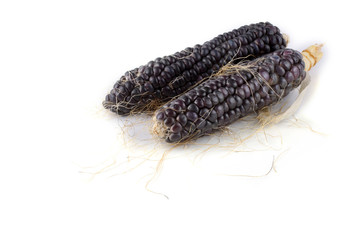 Fototapeta premium Black corn isolated on white