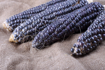 Black corn on bagging. Country style. Harvest
