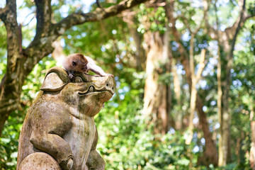 Macaque sitting on sculpture in in Monkey Forest, Ubud Bali Indonesia.