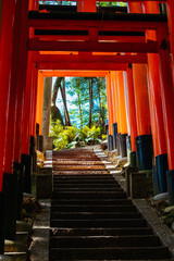 Fushimi Inari Shrine Kyoto Japan