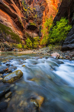 Zion Narrows Rapids