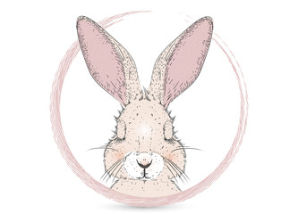 schlafendes Kaninchen im Rosa Rahmen