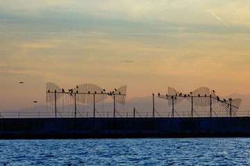 Embankment in Thessaloniki, sunset