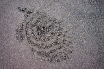 Textured sand background.