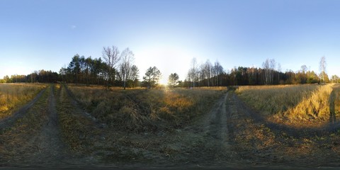 Blossoming Apple Tree in the Spring