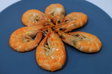 boiled shrimp on a plate