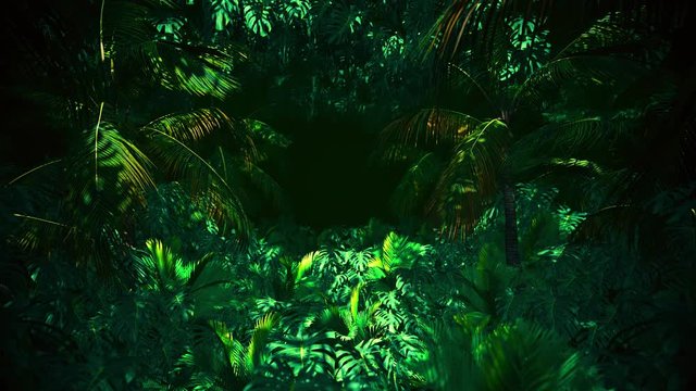 Adventure In Jungle Summer is motion footage for adventure films and cinematic in junggle scene. Also good background for scene and titles, logos.