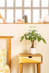 Wooden bedside table in orange and yellow next to a bed in a bright bedroom, with plants, vases and books .
