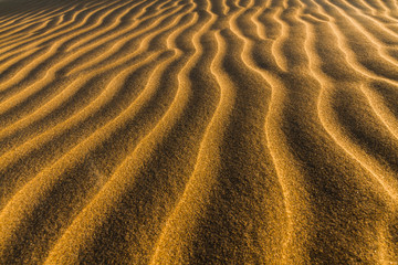 Waveforms on the sand