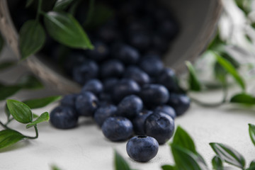 Frische gepflügte Himbeeren mit grün