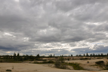 Fototapeta na wymiar Heavy dark blue with tint of grey clouds in the cold summer sky over green forest growing in the sand. North