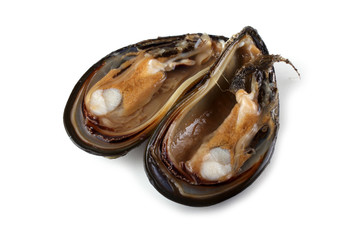 Mussels