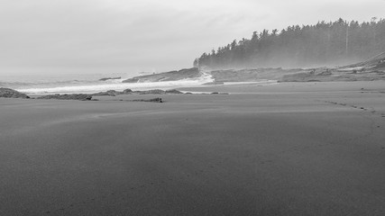 Lonely sandy beach in the Pacific-Rim-Nationalpark, Vancouver Island, North-America, Canada, British Colombia, August 2015
