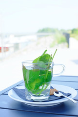 Hot herbal mint tea drink in glass mug with fresh garden mint served with waffle on saucer over wooden table