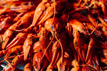 plate with boiled crayfish, closeup