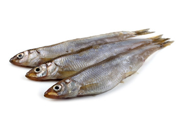 Smelt fish