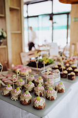 Cake pops and other tasty sweets on a wedding candy bar