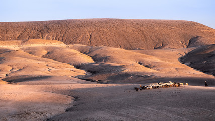 Fototapeta na wymiar marocain desert 