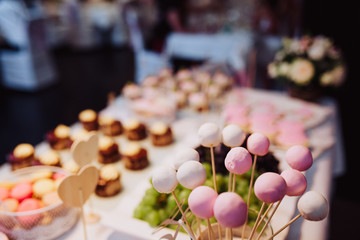Obraz na płótnie Canvas Cake pops and other tasty sweets on a wedding candy bar