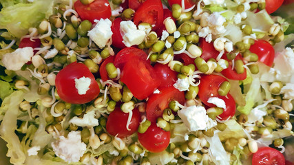 fresh veggie salad with green mungo bean seedlings, tomatoes and feta
