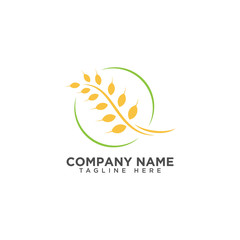 Agriculture wheat Logo Template vector icon design