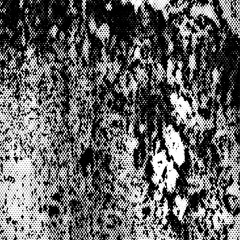 Grunge texture is black and white. Old worn background template © Alexandr